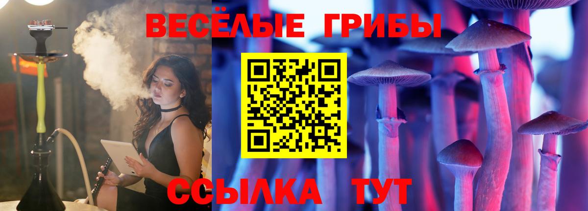 Самара  Псилоцибиновые грибы Magic Shrooms  Вход с VPN 
